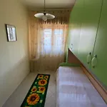 Mimosa Appartement *