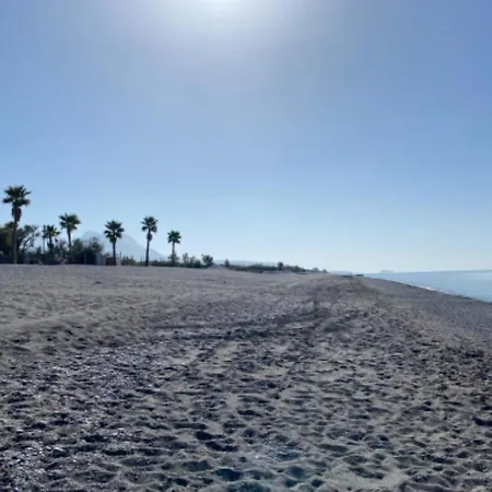 Apartment Mimosa Scalea